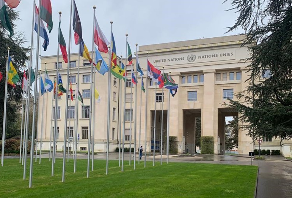 Forestami - caso studio alle Nazioni Unite