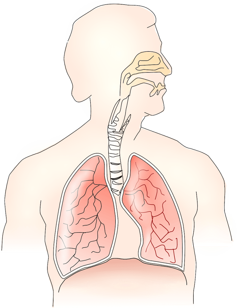 Tumore e dolore ai polmoni